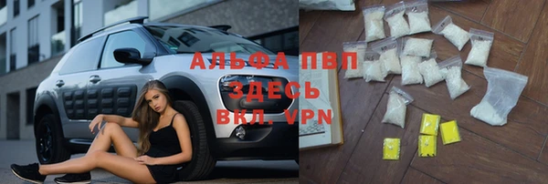гидра Абаза
