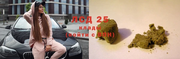 гидра Абаза