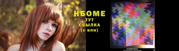 гидра Абаза