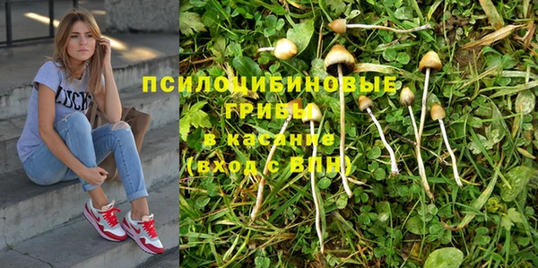 гидра Абаза