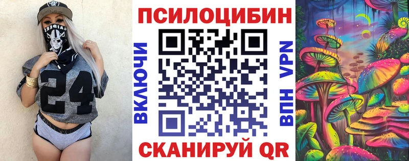 наркотики  blacksprut ONION  Псилоцибиновые грибы GOLDEN TEACHER  Темников 